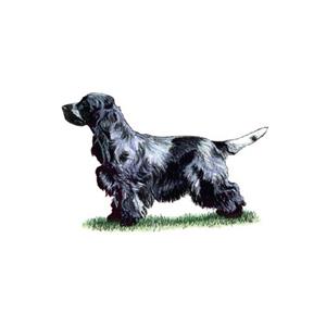 100 Pics Quiz Dog Breeds Pack Level 2 Answer 1 of 5