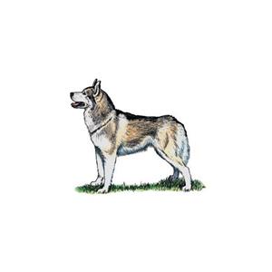 100 Pics Quiz Dog Breeds Pack Level 1 Answer 1 of 5