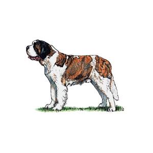 100 Pics Quiz Dog Breeds Pack Level 2 Answer 1 of 5