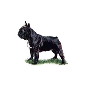 100 Pics Quiz Dog Breeds Pack Level 5 Answer 1 of 5