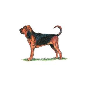 100 Pics Quiz Dog Breeds Pack Level 5 Answer 1 of 5