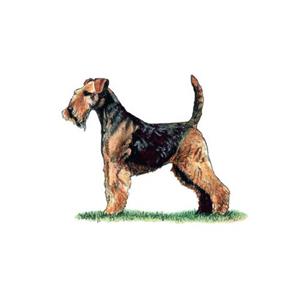 100 Pics Quiz Dog Breeds Pack Level 7 Answer 1 of 5