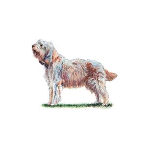 100 Pics Quiz Dog Breeds Pack Level 14 Answer 1 of 5