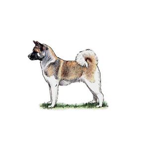 100 Pics Quiz Dog Breeds Pack Level 16 Answer 1 of 5
