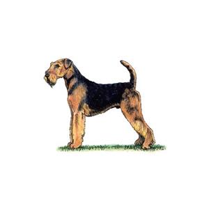 100 Pics Quiz Dog Breeds Pack Level 16 Answer 1 of 5
