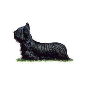 100 Pics Quiz Dog Breeds Pack Level 19 Answer 1 of 5