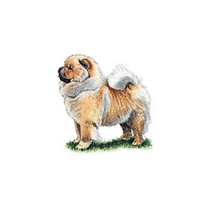 100 Pics Quiz Dog Breeds Pack Level 20 Answer 1 of 5
