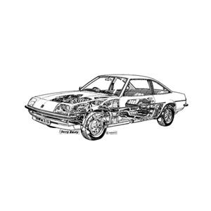 100 Pics Quiz Classic Cars Pack Level 10 Answer 1 of 5