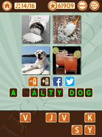 4 Pics 1 Song Level 74 Pic 14