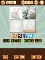 4 Pics 1 Song Level 82 Pic 1