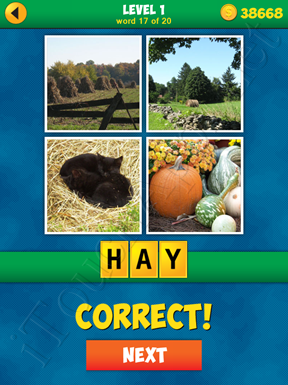 4 Pics 1 Word Puzzle - More Words - Level 1 Word 17 Solution