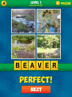 4 Pics 1 Word Puzzle - More Words - Level 1 Word 9 Solution