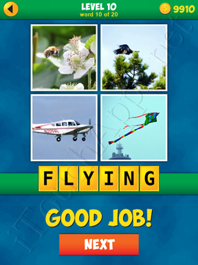 4 Pics 1 Word Puzzle - More Words - Level 10 Word 10 Solution