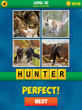 4 Pics 1 Word Puzzle - More Words - Level 10 Word 12 Solution