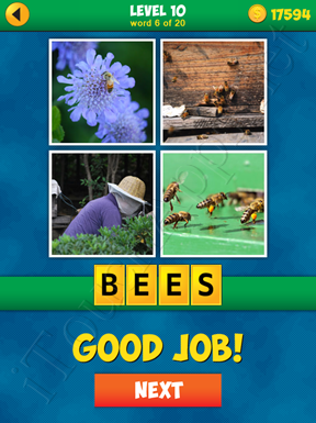 4 Pics 1 Word Puzzle - More Words - Level 10 Word 6 Solution