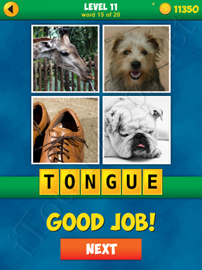 4 Pics 1 Word Puzzle - More Words - Level 11 Word 15 Solution