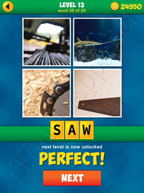 4 Pics 1 Word Puzzle - More Words - Level 13 Word 20 Solution