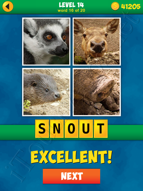 4 Pics 1 Word Puzzle - More Words - Level 14 Word 16 Solution