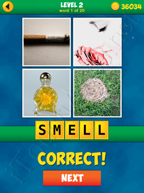 4 Pics 1 Word Puzzle - More Words - Level 2 Word 1 Solution