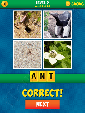 4 Pics 1 Word Puzzle - More Words - Level 2 Word 4 Solution
