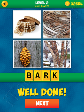 4 Pics 1 Word Puzzle - More Words - Level 2 Word 6 Solution