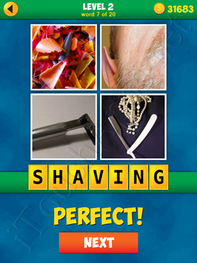 4 Pics 1 Word Puzzle - More Words - Level 2 Word 7 Solution