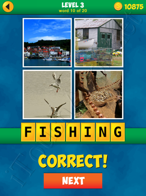 4 Pics 1 Word Puzzle - More Words - Level 3 Word 10 Solution