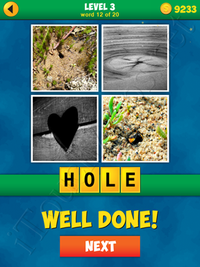 4 Pics 1 Word Puzzle - More Words - Level 3 Word 12 Solution