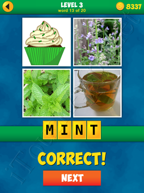 4 Pics 1 Word Puzzle - More Words - Level 3 Word 13 Solution