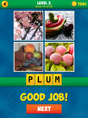 4 Pics 1 Word Puzzle - More Words - Level 3 Word 14 Solution