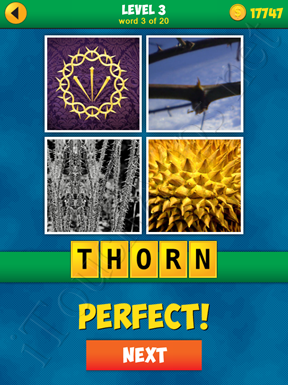 4 Pics 1 Word Puzzle - More Words - Level 3 Word 3 Solution