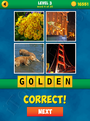 4 Pics 1 Word Puzzle - More Words - Level 3 Word 4 Solution