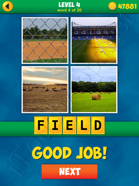 4 Pics 1 Word Puzzle - More Words - Level 4 Word 4 Solution