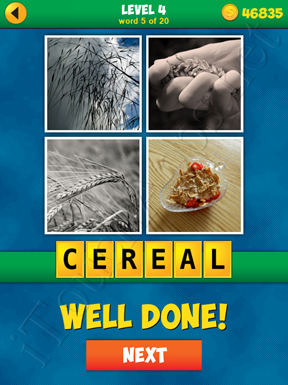 4 Pics 1 Word Puzzle - More Words - Level 4 Word 5 Solution