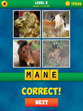 4 Pics 1 Word Puzzle - More Words - Level 5 Word 11 Solution