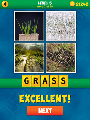 4 Pics 1 Word Puzzle - More Words - Level 5 Word 7 Solution