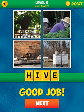 4 Pics 1 Word Puzzle - More Words - Level 5 Word 8 Solution