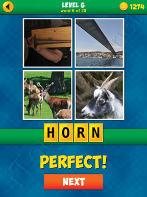 4 Pics 1 Word Puzzle - More Words - Level 6 Word 6 Solution