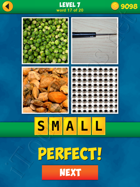 4 Pics 1 Word Puzzle - More Words - Level 7 Word 17 Solution