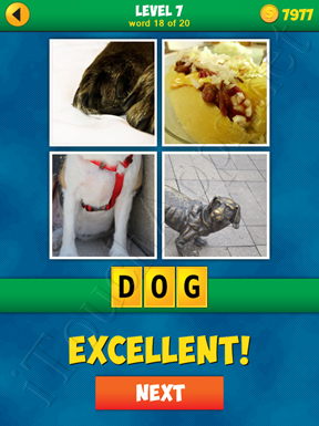 4 Pics 1 Word Puzzle - More Words - Level 7 Word 18 Solution