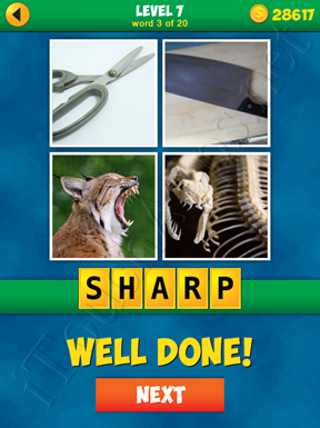 4 Pics 1 Word Puzzle - More Words - Level 7 Word 3 Solution