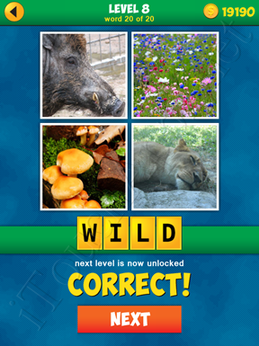 4 Pics 1 Word Puzzle - More Words - Level 8 Word 20 Solution