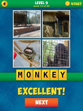 4 Pics 1 Word Puzzle - More Words - Level 9 Word 13 Solution