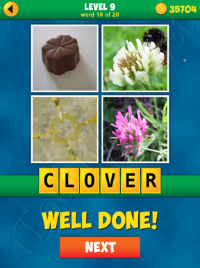4 Pics 1 Word Puzzle - More Words - Level 9 Word 16 Solution