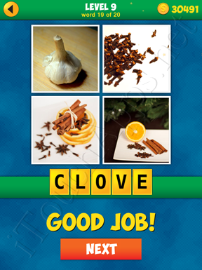 4 Pics 1 Word Puzzle - More Words - Level 9 Word 19 Solution