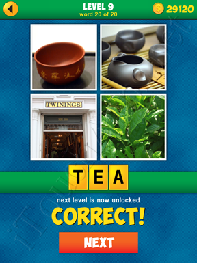 4 Pics 1 Word Puzzle - More Words - Level 9 Word 20 Solution