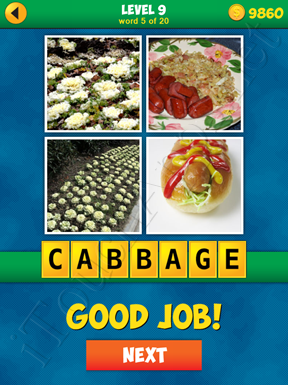 4 Pics 1 Word Puzzle - More Words - Level 9 Word 5 Solution