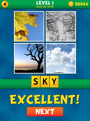 4 Pics 1 Word Puzzle - What's That Word Level 1 Word 22 Solution