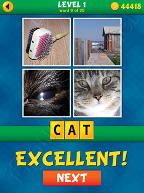 4 Pics 1 Word Puzzle - What's That Word Level 1 Word 9 Solution