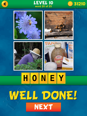 4 Pics 1 Word Puzzle - What's That Word Level 10 Word 20 Solution